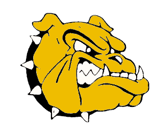 Bull Dog